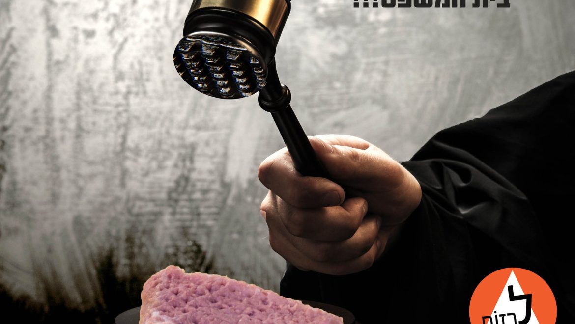 אדוני השופט