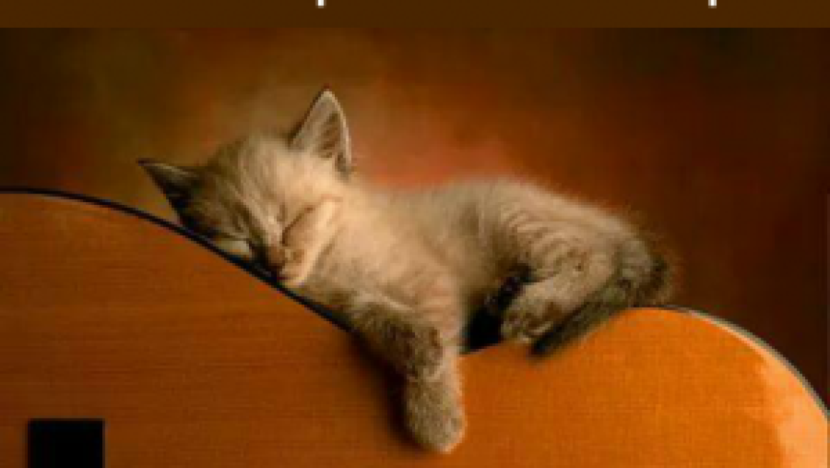 אילוף אריות