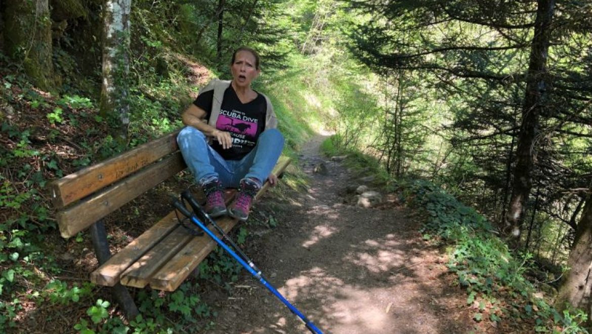 קיצור תולדות הזמן